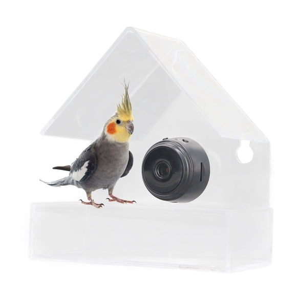 Mangeoire Intelligente pour Oiseaux, Connexion à Distance 200mAh Mangeoire de Fenêtre 170 Degrés Grand Angle pour Extérieur