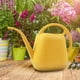 thumbnail image 5 of Regadera de 1 galón con pico largo, regadera con diseño de flores, regadera de interior con asa, regadera de plástico para plantas de jardín., 5 of 6