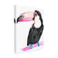 thumbnail image 2 of Trademark Fine Art 'Technicolor Toucan II' Canvas Art by Jennifer Paxton Parker, 2 of 4
