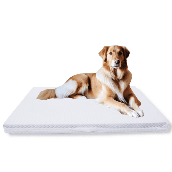 Dog Bed Replacement Filler