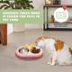 thumbnail image 5 of Cuencos dobles para perros y gatos, cuencos dobles de acero inoxidable para mascotas con bonito alimentador de agua y comida para mascotas, 5 of 5