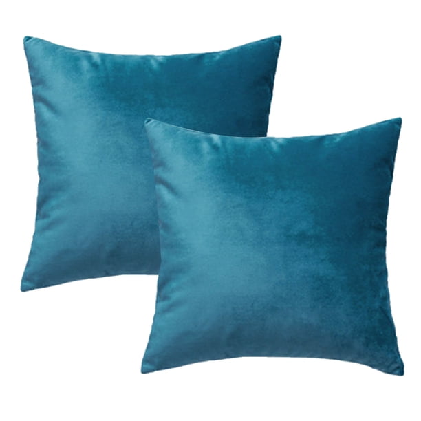 2 fundas de almohada decorativas modernas y fundas de cojín.