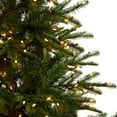 thumbnail image 6 of Nearly Natural Clear Prelit LED Decorated Spruce Artificial Christmas Tree, 8', 6 of 11
