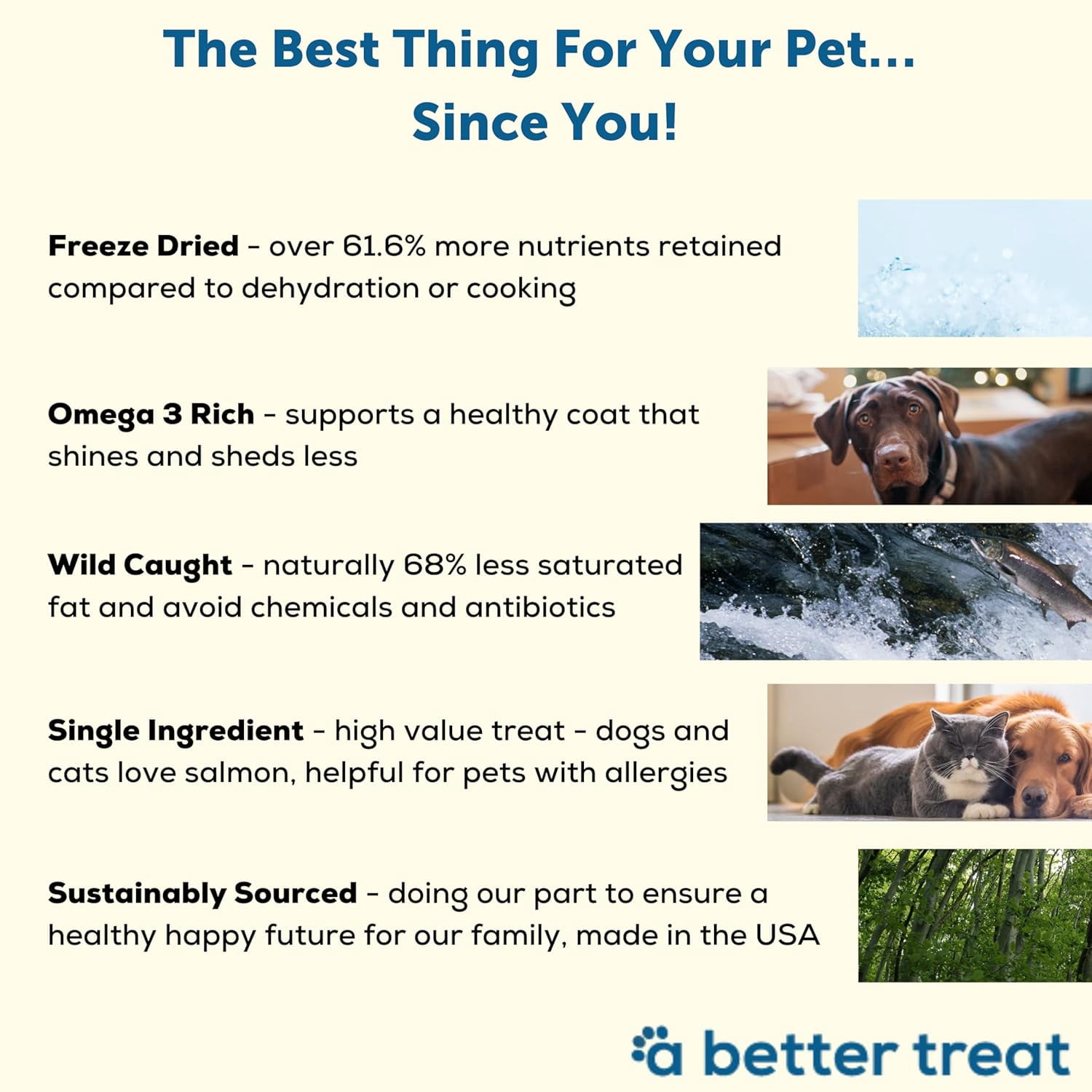 (Pack Of 5) A Better Treat Dog Treats 1.5 Oz