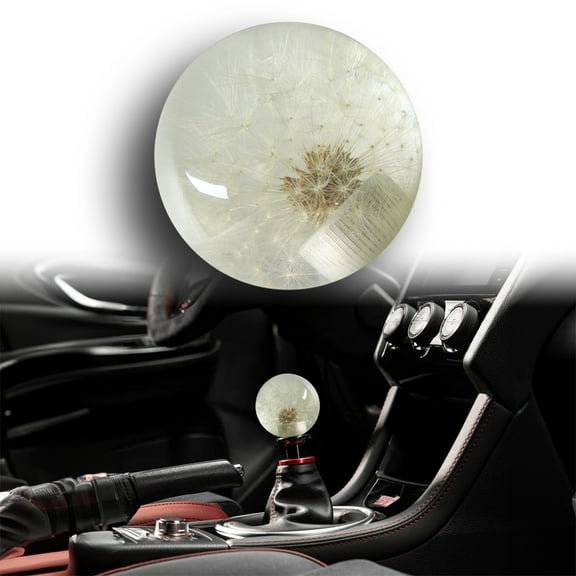 Universal 54MM Beautiful Crystal Ball Dandelion Real Flowers Shift Knob Shift Head