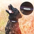 thumbnail image 4 of Pet Artist Personalized Dog Collar Braided Soft Padded Leather with Custom Pet Name ID Tag, 4 of 10