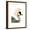 Brown Frame, variant on Art.com Watercolor Crested Crane Stretched Canvas Print Wall Art by Naomi McCavitt, 12" x 16"