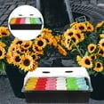 thumbnail image 1 of OULII 1 Set Propagation Kit Transparent Plastic for Plant Enthusiasts, 1 of 5