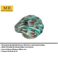 thumbnail image 3 of Mascot Hardware Sea Shell Sea Green Cabinet Knob Pack-20, 3 of 5