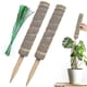 thumbnail image 1 of 2pcs Moss Pole for Climbing Plants, 30cm Plant Support Stake for Indoor Garden Vine Growth, 1 of 5