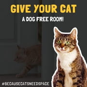 Door Buddy Cat Litter Box Door Latch and Door Stopper