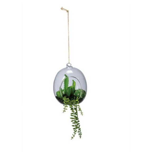Cacti - Oval Planter
