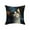 N, variant on JoyMoreHome Cute Funny Cat Pattern Throw Pillow Cover with Hidden Zipper, 18x18 Inch Soft Durable Pillowcase for Livingroom, Sofa, Bedroom, Office