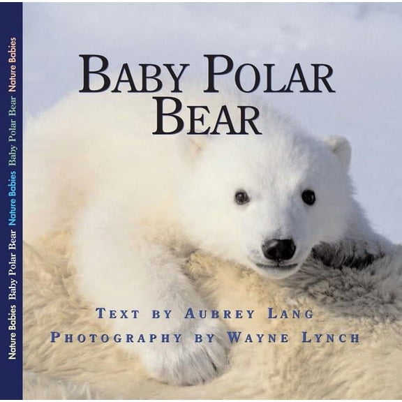 Nature Babies Baby Polar Bear: Volume 15, Book 15, (Paperback)