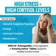 thumbnail image 6 of Force Factor Amazing Ashwa with KSM-66 Ashwagandha for Stress Relief, Cortisol Balance, Memory, Focus & Immune Health, Clinical Strength, 120 Tablets, 6 of 13