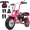 Pink, variant on FRP MB40 40cc Gas Mini Bike with Protective Gear, Teens 13+, Up to 18 MPH, Red