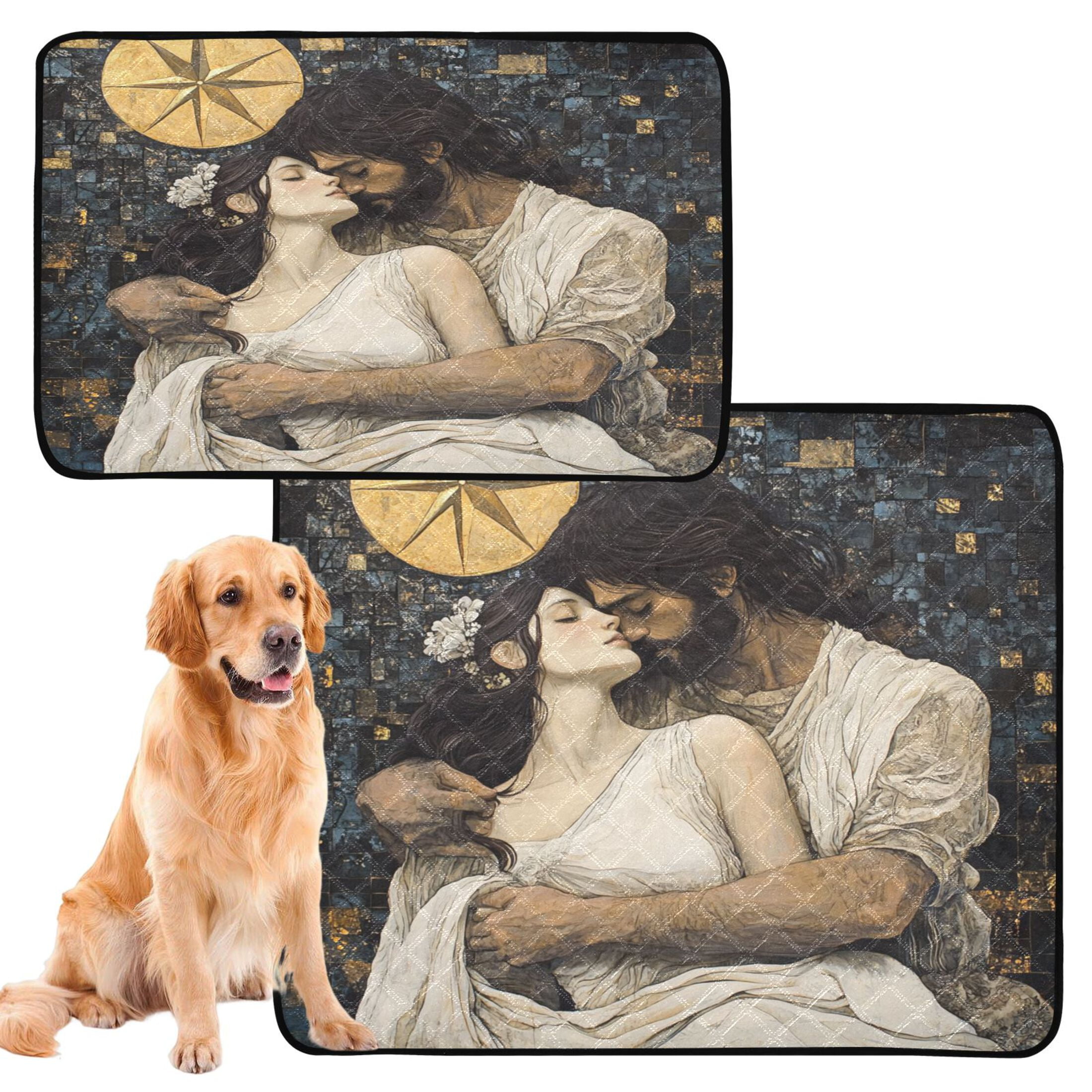 Qxltty The Star and The Maiden Cat litter Pads Pet Set of 3 Diaper Mats Center Anti-leakage Layer Absorbent Soft and Comfortable