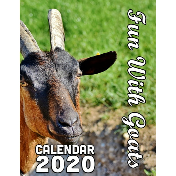 Fun With Goats Calendar 2020 14 Month Desk Calendar for People Who