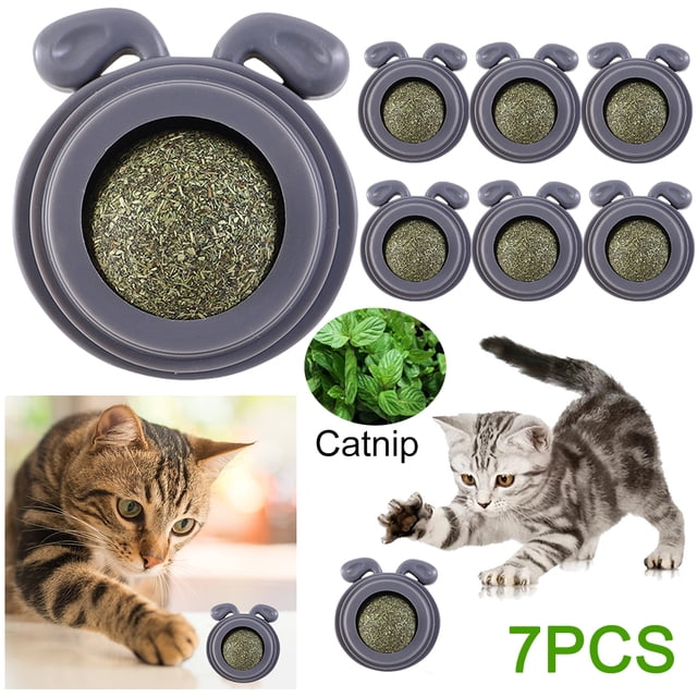 Juguete Bolas Hierba Gatera Plástico para Suministros Con Forma Cabeza Perro (gris Claro)