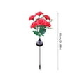 thumbnail image 3 of Solar Garden Lights - LED Silk Carnation Outdoor Patio Decoration, Weatherproof Plastic Ground Lamps Garden Stake, 26 Inch,Red, 3 of 6