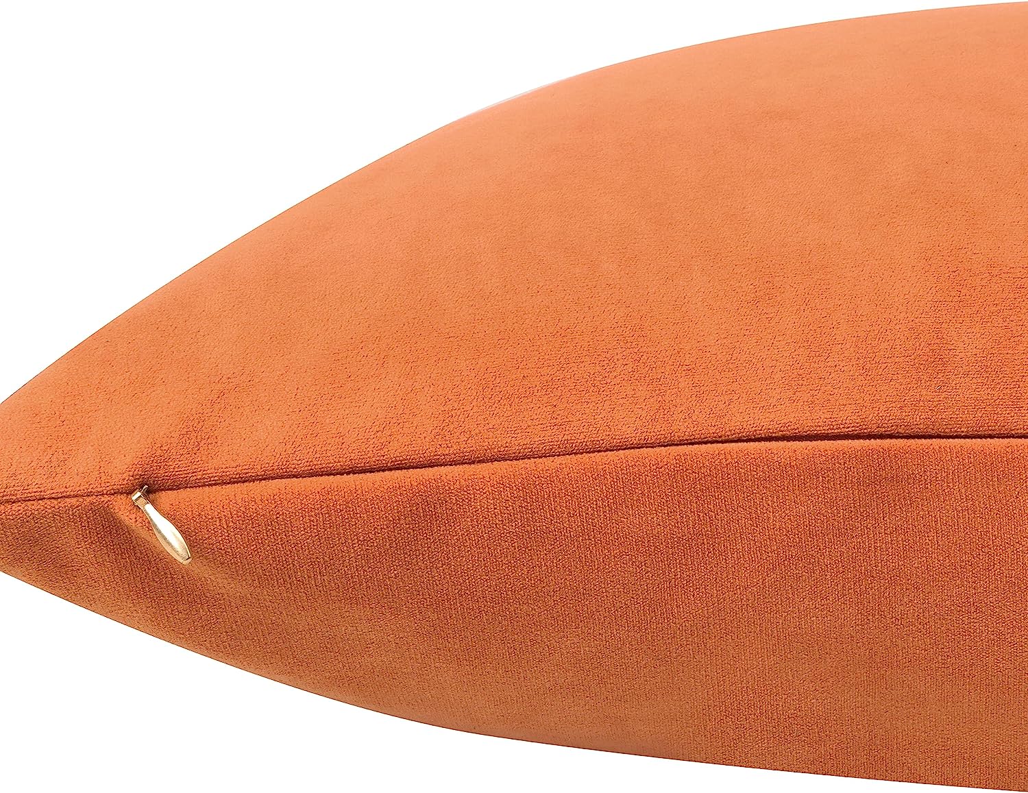 Delara Velvet Decorative Throw Pillow Cover, 20x20 inch, Pack of 1, Soft Breathable Cushion Cover with Hidden Zipper, Burnt Orange