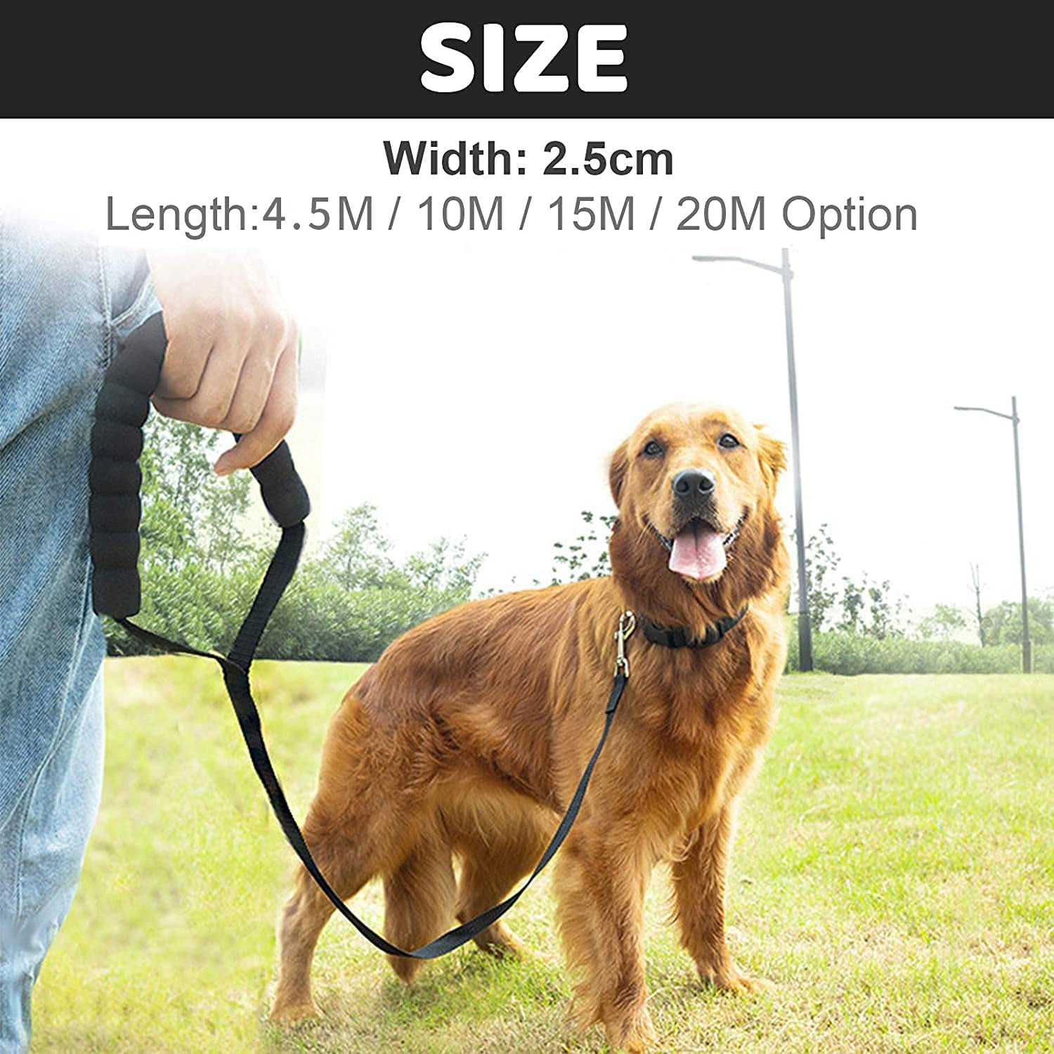Long leash for backyard hotsell