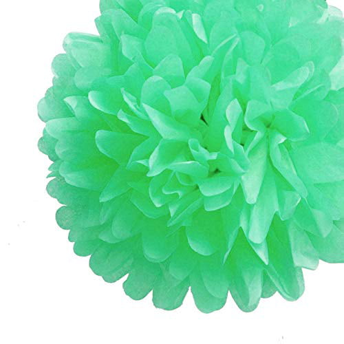 Green 10Pcs Tissue Paper Pom Poms 8 inches for Birthday & Party Decor supplies 