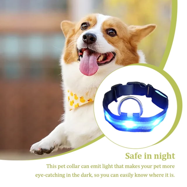 Collier Lumineux Réglable pour Animaux de Compagnie Randonnée Nuit Marche Animal Allumé Festival Anniversaire Cadeau Animaux Choker Portable Lavable Colliers Animaux Fournitures Cadeau Bleu S
