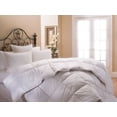 thumbnail image 1 of ViscoLogic Down & Feather Comforter 100% Cotton Shell (Twin), 1 of 2