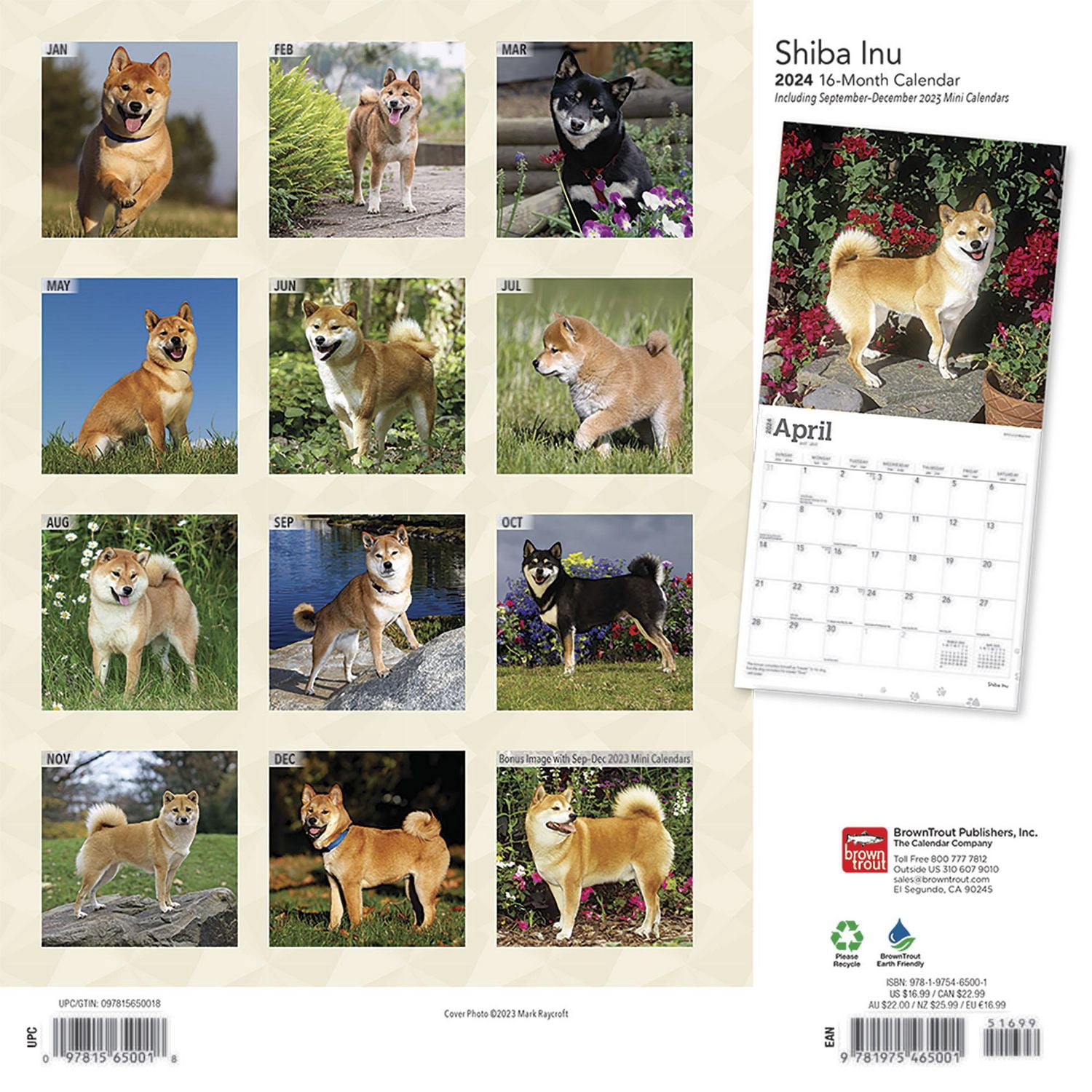 BrownTrout Shiba Inu 2024 12x24 Inch Square Wall Calendar, 9781975465001