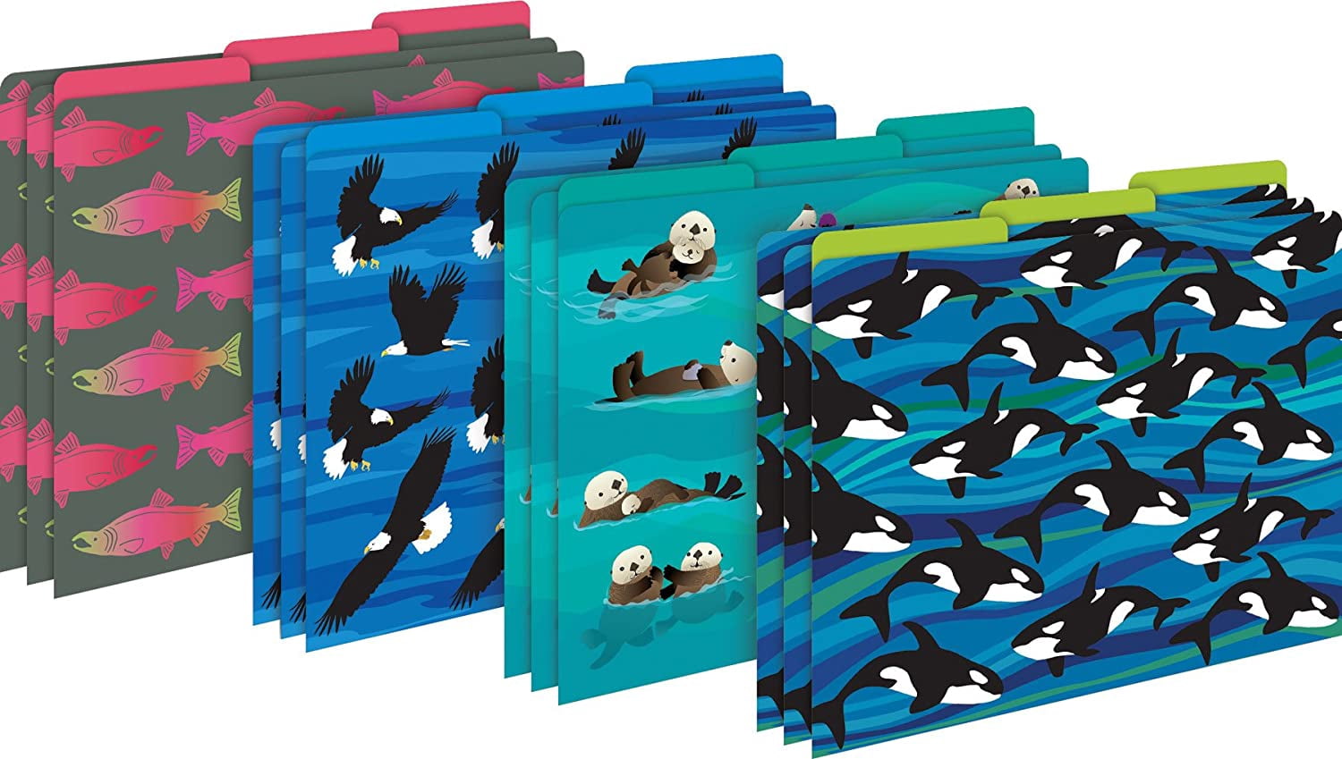 Barker Creek Get Organized Office Kit, Sea & Sky Whales, with 12 Coordinating Designer File Folders, 50 Sheets of Colorful Computer Paper, and 45 Versatile Self-Adhesive Labels/Name Tags (121)