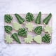 thumbnail image 5 of Galleta Niequista Molde Lavable Reutilizable Lindo Historieta Pascua Biscuit Moldes Festival de interior Celebración Horneado Herramienta decorativa 4 piezas Planta Advancent HA028317-03, 5 of 7