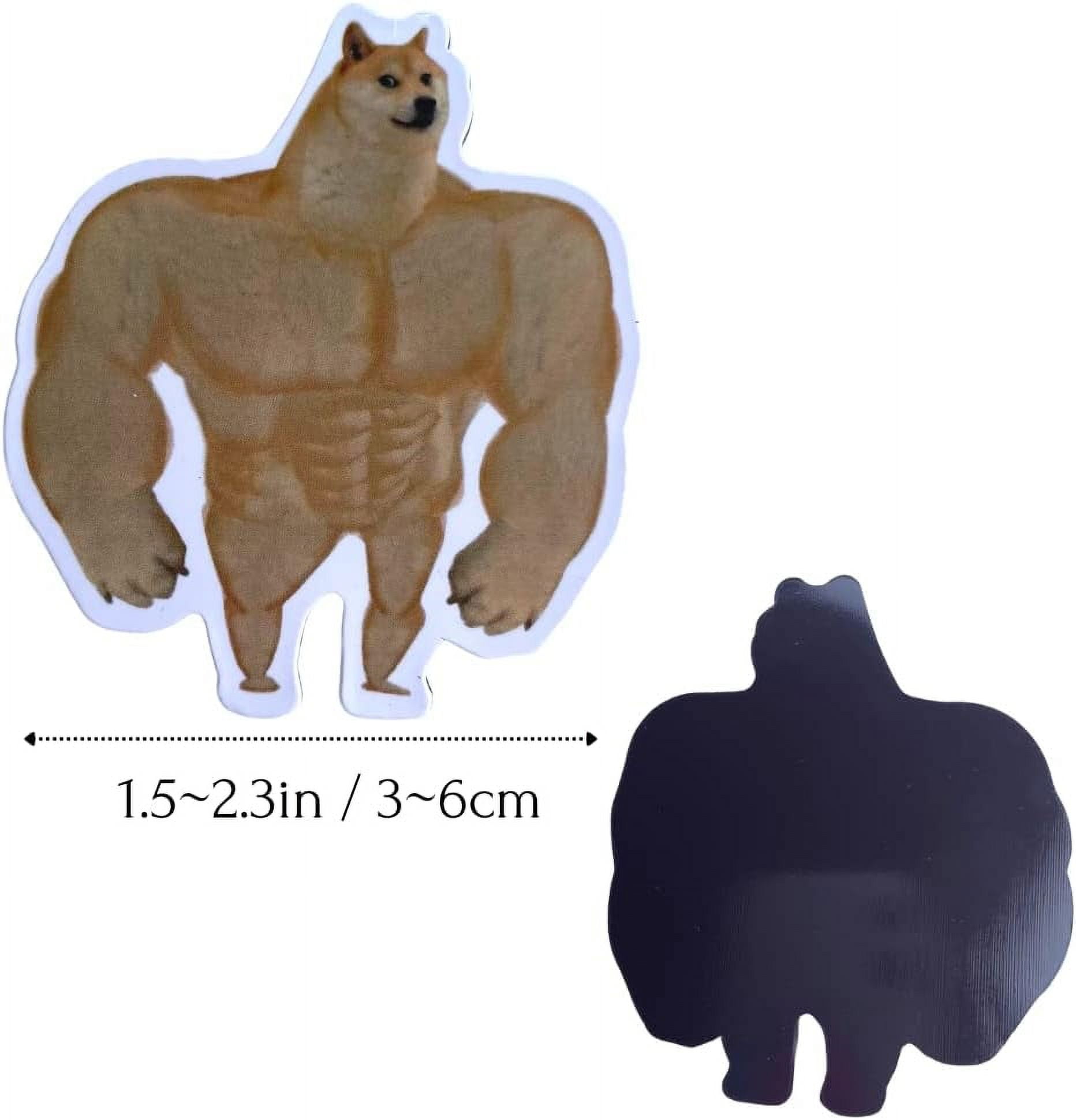 YJ Premiums 12pc Funny Magnets, Fun Cute Cool Meme Phrase Quote