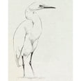 thumbnail image 3 of Caroline, Emma 20x24 Black Modern Framed Museum Art Print Titled - Erect Egret I, 3 of 5