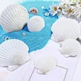 thumbnail image 7 of 18PCS Natural Scallop Shells,White Seashells Bulk for Crafts DIY Painting Baking and Ocean Summer Beach Wedding Home,18 * natural white scallops,White, 7 of 7