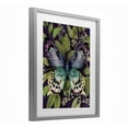 thumbnail image 2 of Stupell Industries Eclectic Midnight Garden Butterfly Gray Framed Print Under Glass, 17 x 21, by Nicole Tamarin, 2 of 7
