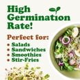 thumbnail image 7 of Food to Live, Salad Mix of Sprouting Seeds, 1 Pound, Raw, Vegan, 7 of 7