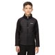 thumbnail image 4 of Regatta - Chaqueta Aislante Hydrate VI Impermeable para Niños/Niñas (Surf Spray, Negro) Regatta UTRG7047_surfsprayblack, 4 of 6
