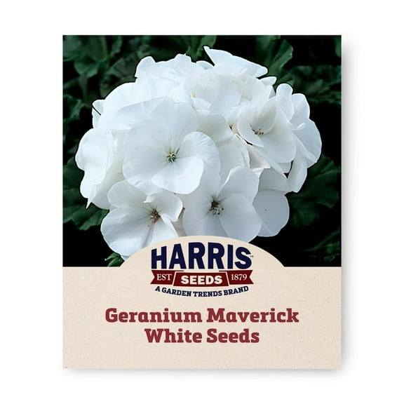 Harris Seeds 81875 Geranium Maverick White F1 Plant Seeds