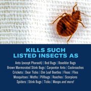 BioAdvanced Home Pest Bed Bug & Flea Continuous Spray for Home 15.7 oz