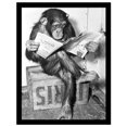 thumbnail image 1 of Ada Ingram Affiche Encadrée Chimp, 1 of 1
