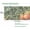 White, variant on Ultra Fine Garden Netting 4'x10' Plant Pest Barrier Covers Bird Patio Mosquito Netting Tree Vegetable Mesh Protection Netting Fruit Greenhouse Row Nets for Garden