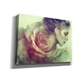 thumbnail image 2 of Epic Graffiti 'June' by Anna Dittman, Canvas Wall Art, 54"x40", 2 of 8