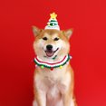 thumbnail image 4 of Conjunto de 2 baberos con correa y gorro de Papá Noel verde para perro, conjunto de disfraz navideño para mascota, conjunto de gorro de Papá Noel para mascota, babero, pajarita y medias., 4 of 6
