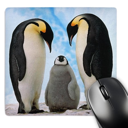 3dRose  Emperor Penguin Family  MousePad price history on PriceWatchPro