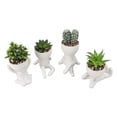 thumbnail image 1 of Maceta Suculenta Artificial, Maceta De Suculentas Falsas, Exquisita Forma Humana Sin Sol Para Decoración, 1 of 7