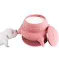 thumbnail image 4 of Biberones para cachorros para amamantar, comederos de leche para cachorros para varios cachorros, comedero para cachorros con tetina, cuenco de leche rosa, 4 of 5