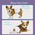 thumbnail image 4 of Soft Disposable Dog Diapers - Diapers for Female & Male Dogs Super Absorbent Doggie Diaper Leak Proof Nappies Pants Puppy Shorts, 4 of 4