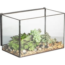 NCYP Small Rectangle Glass Terrarium Planter with Lid, 6.7 x 4 x 4.8 Inches Clear Black Geometric Flower Pot Box for Succulents Air Plant Fern, Tabletop Decoration (No Plants)