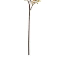 thumbnail image 3 of My Texas House Fall Faux Coriaria Stem, Multicolor, 30", 3 of 5